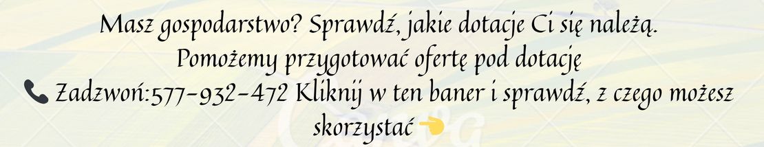 Skorzystaj z Premii